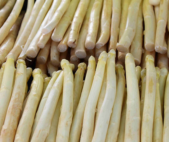 Erntehelfer Erntehelfer von ucm.agency